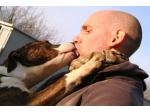 AMSTAFF Vana (Ataxia Clear By Parental)