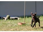 AMSTAFF Funny