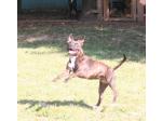 AMSTAFF Lucy