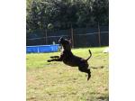 AMSTAFF Lucy
